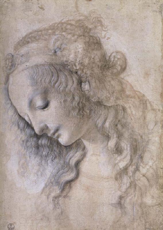 LEONARDO da Vinci Woman portrait oil painting picture